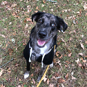 Meet your Posher, Mac